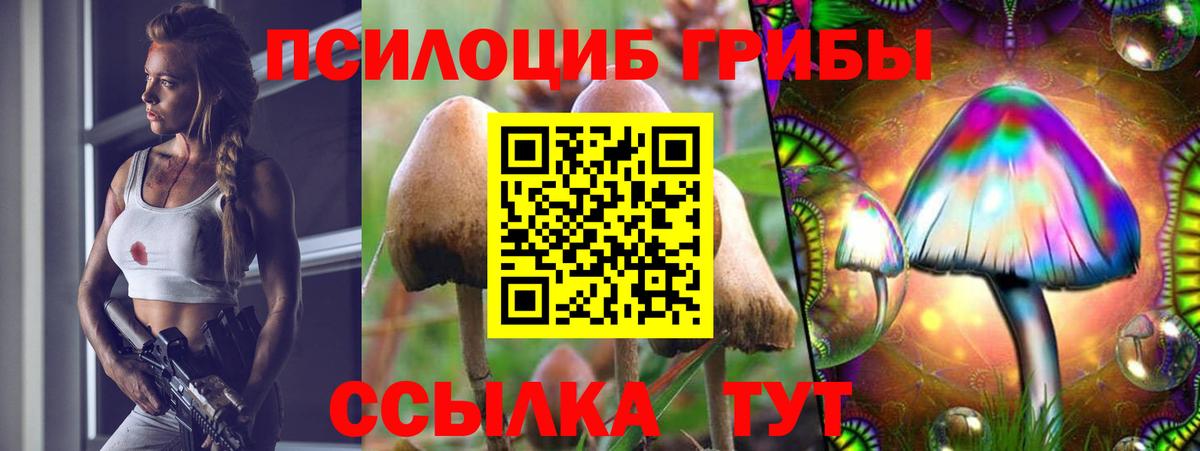 Галлюциногенные грибы мицелий Анапа